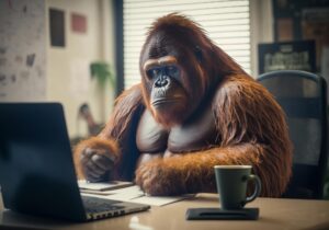 tired orangutan sitting old office computer desk working 147644 2202